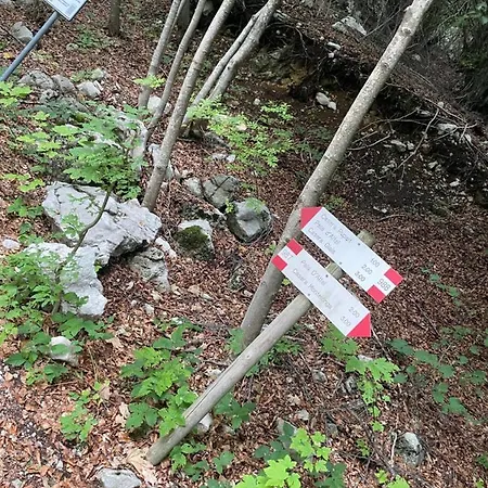 Casa Valcellina Ristorante 3*