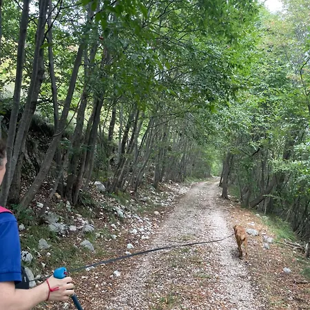 Casa Valcellina Ristorante מלון Montereale Valcellina